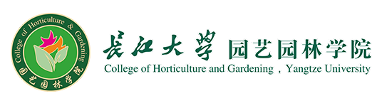 伟德国际1946bv官网
